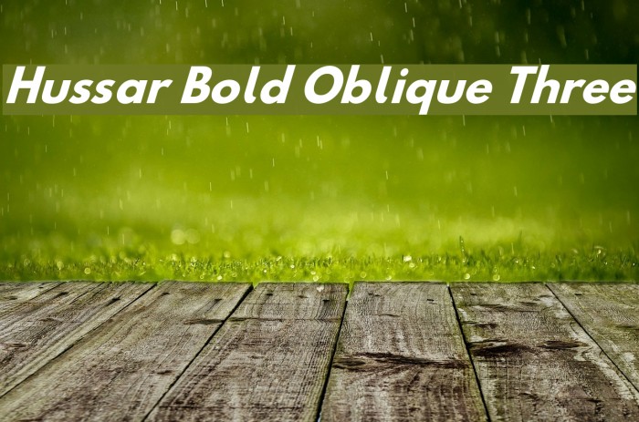 Hussar Bold Oblique Three Font examples