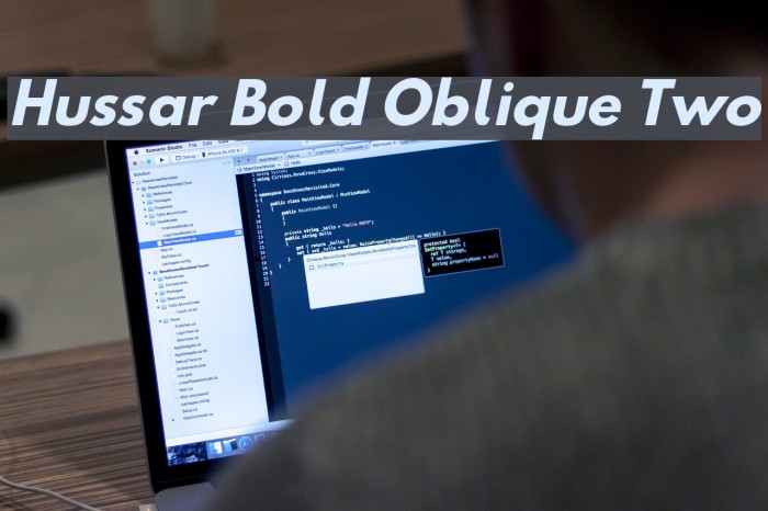 Hussar Bold Oblique Two Font examples