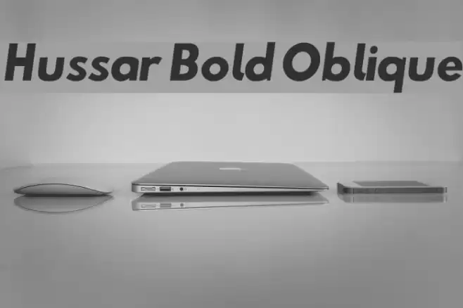 Hussar Bold Oblique Font examples