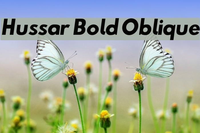 Hussar Bold Oblique Font examples