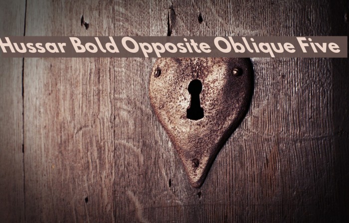Hussar Bold Opposite Oblique Five Font examples