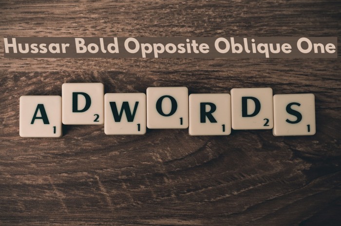 Hussar Bold Opposite Oblique One Font examples