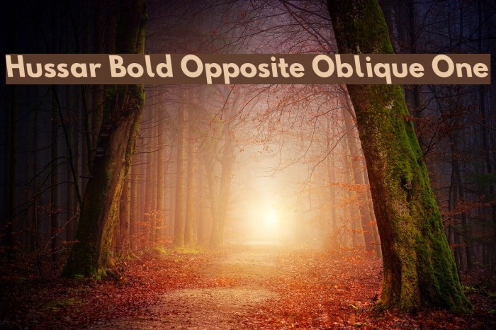 Hussar Bold Opposite Oblique One Font examples
