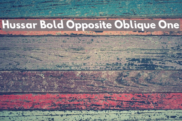 Hussar Bold Opposite Oblique One Font examples
