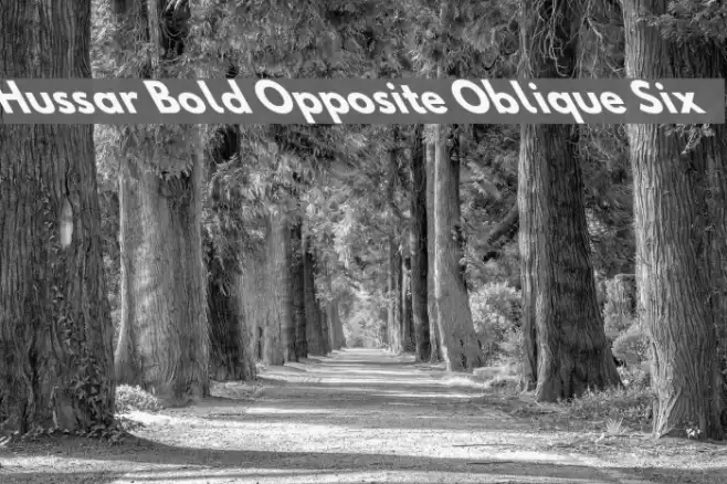 Hussar Bold Opposite Oblique Six Font examples