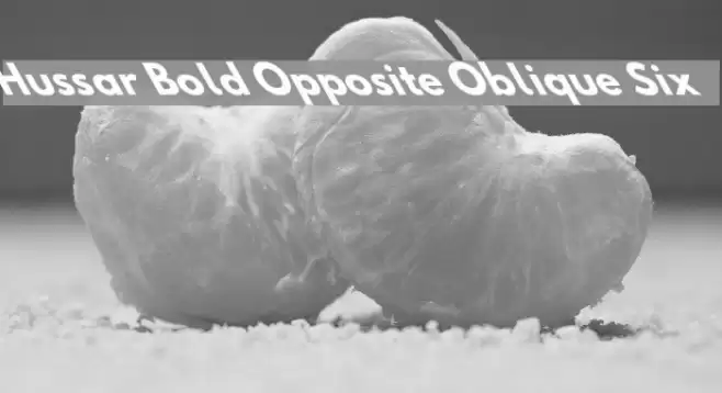 Hussar Bold Opposite Oblique Six Font examples