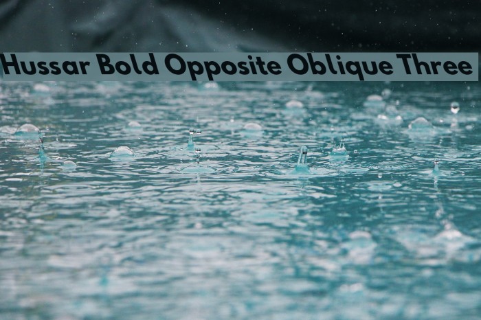 Hussar Bold Opposite Oblique Three Font examples