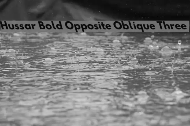 Hussar Bold Opposite Oblique Three  examples