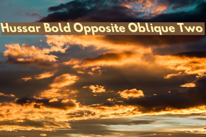 Hussar Bold Opposite Oblique Two Font examples