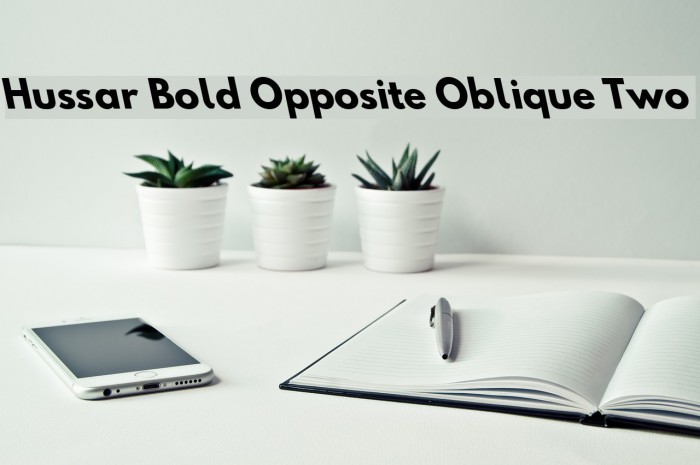 Hussar Bold Opposite Oblique Two Font examples