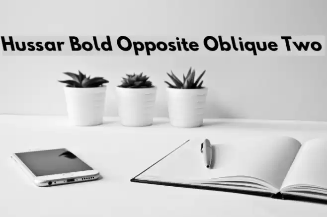 Hussar Bold Opposite Oblique Two  examples