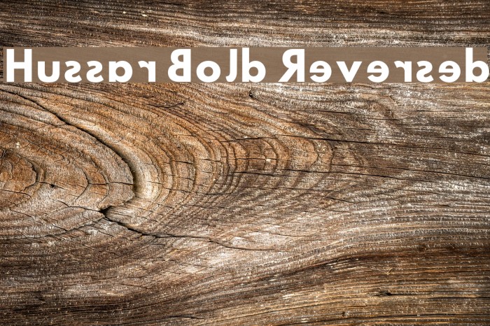 Hussar Bold Reversed Font examples