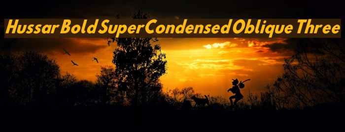 Hussar Bold SuperCondensed Oblique Three Font examples