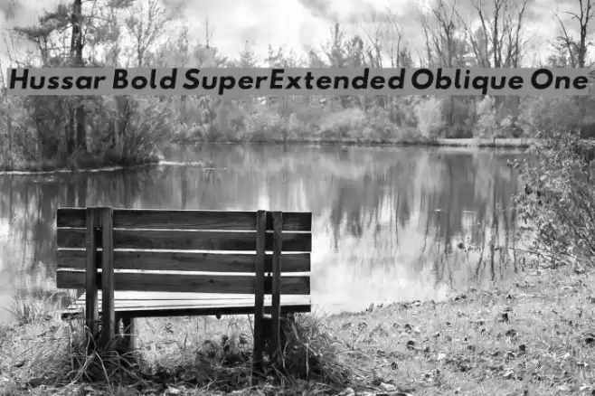 Hussar Bold SuperExtended Oblique One Font examples