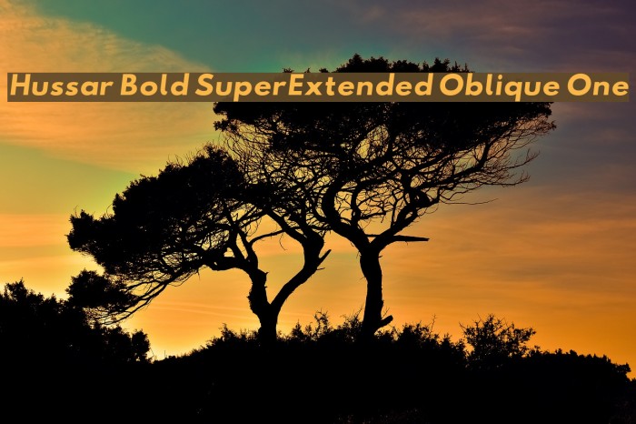 Hussar Bold SuperExtended Oblique One Font examples
