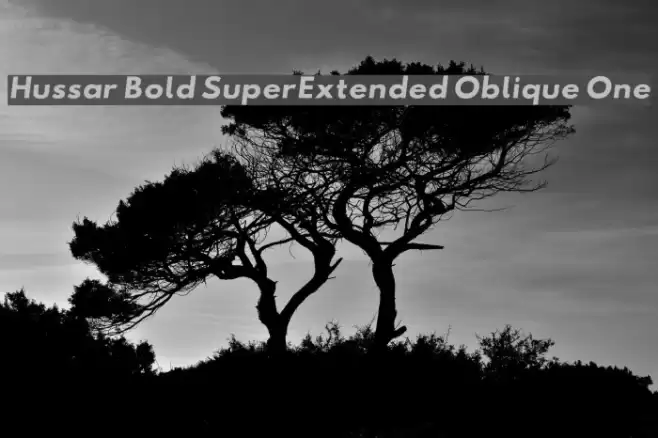 Hussar Bold SuperExtended Oblique One Font examples