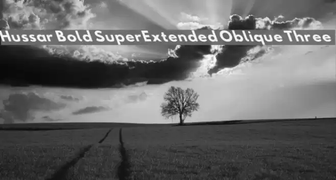 Hussar Bold SuperExtended Oblique Three Font examples