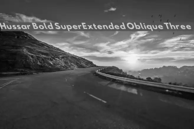 Hussar Bold SuperExtended Oblique Three Font examples