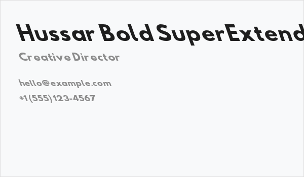 Hussar Bold SuperExtended Oblique Three Business Card