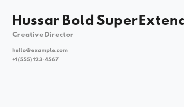 Hussar Bold SuperExtended Business Card