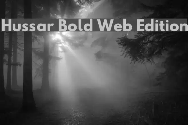 Hussar Bold Web Edition Font examples