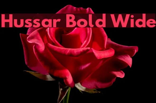 Hussar Bold Wide Example 1
