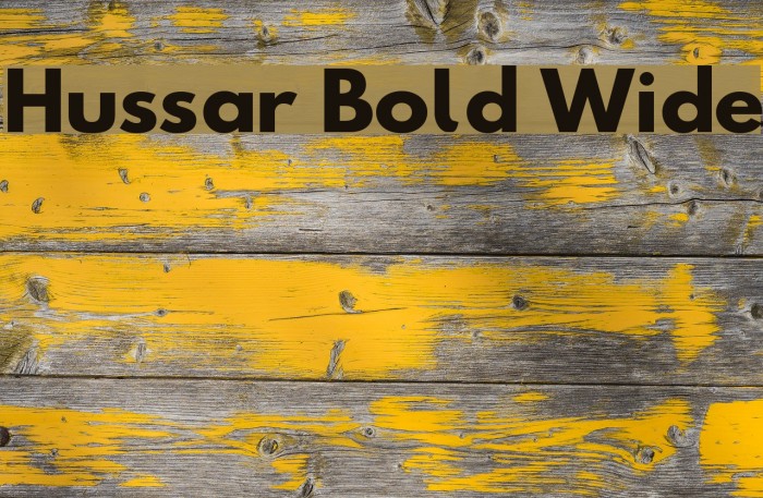 Hussar Bold Wide Font examples