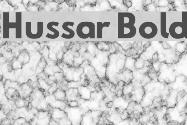 Hussar Bold Font examples