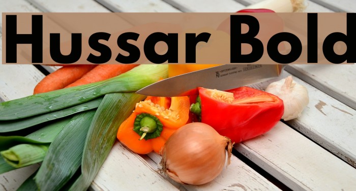 Hussar Bold Font examples
