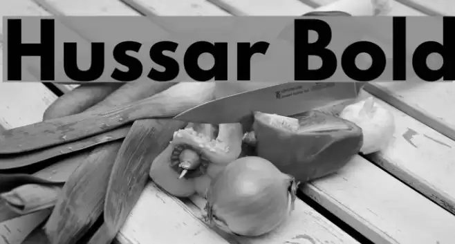 Hussar Bold Font examples