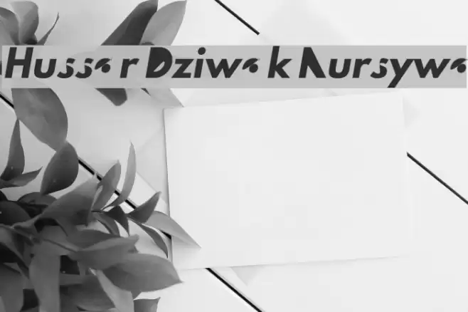 Hussar Dziwak Kursywa  examples