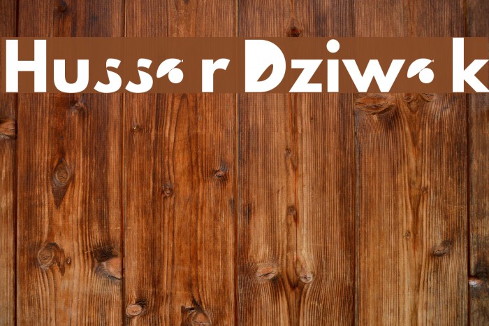 Hussar Dziwak Font examples