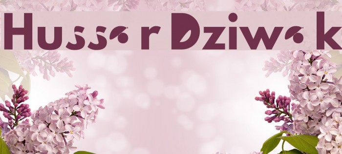 Hussar Dziwak Font examples