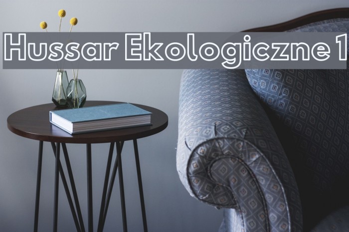 Hussar Ekologiczne 1 Font examples