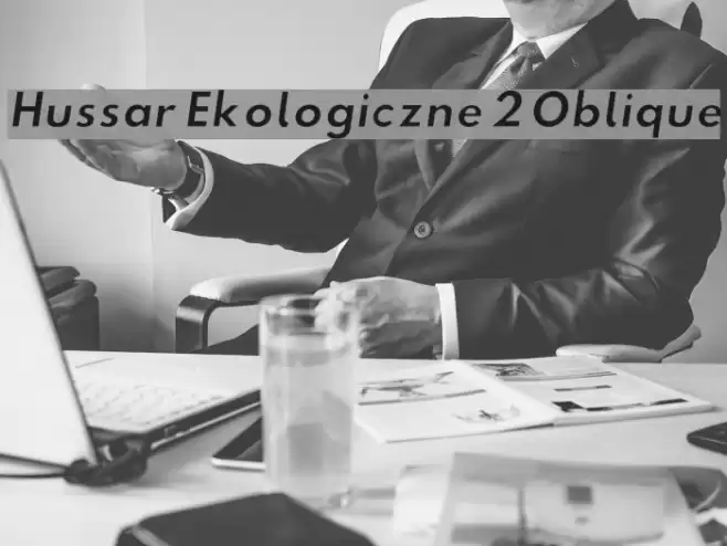 Hussar Ekologiczne 2 Oblique Font examples