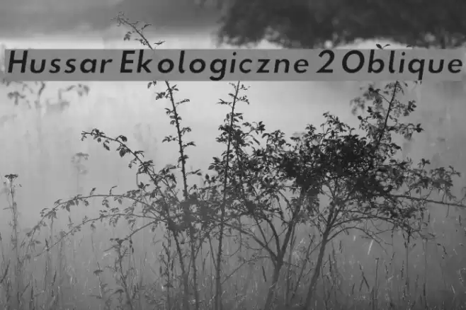 Hussar Ekologiczne 2 Oblique Font examples