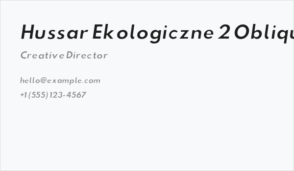 Hussar Ekologiczne 2 Oblique Business Card