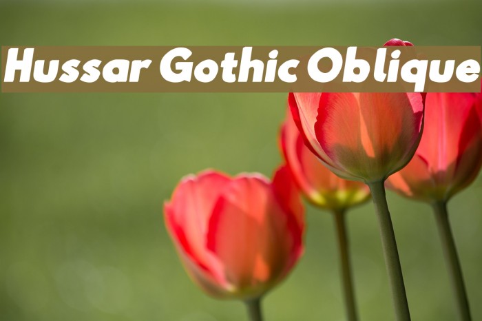 Hussar Gothic Oblique Font examples