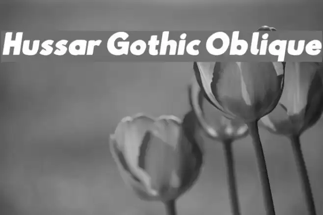 Hussar Gothic Oblique Font examples