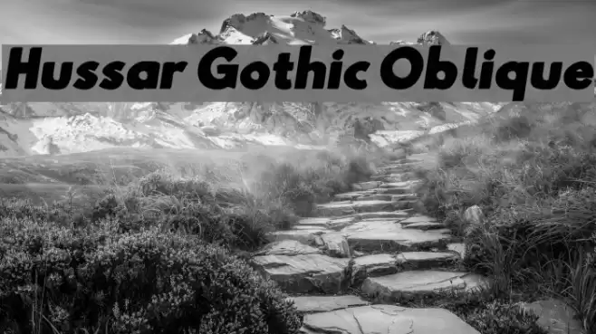 Hussar Gothic Oblique Font examples
