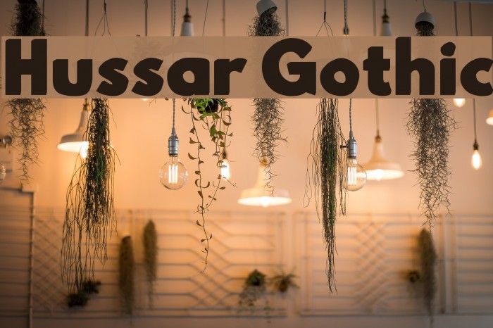 Hussar Gothic Font examples