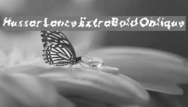 Hussar Lance ExtraBold Oblique Font examples