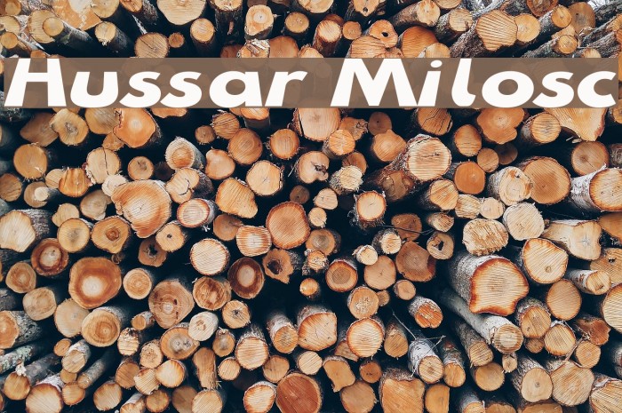 Hussar Milosc Font examples
