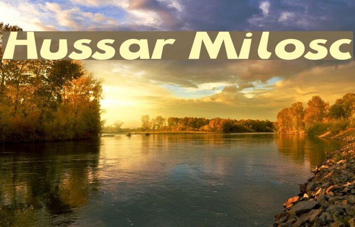 Hussar Milosc Font examples