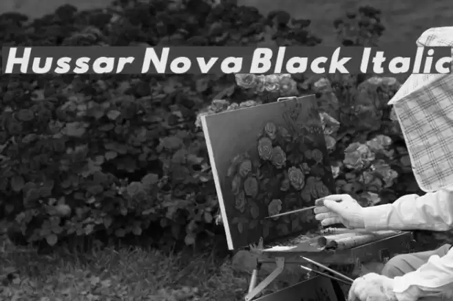 Hussar Nova Black Italic Font examples