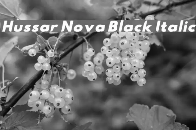 Hussar Nova Black Italic Font examples