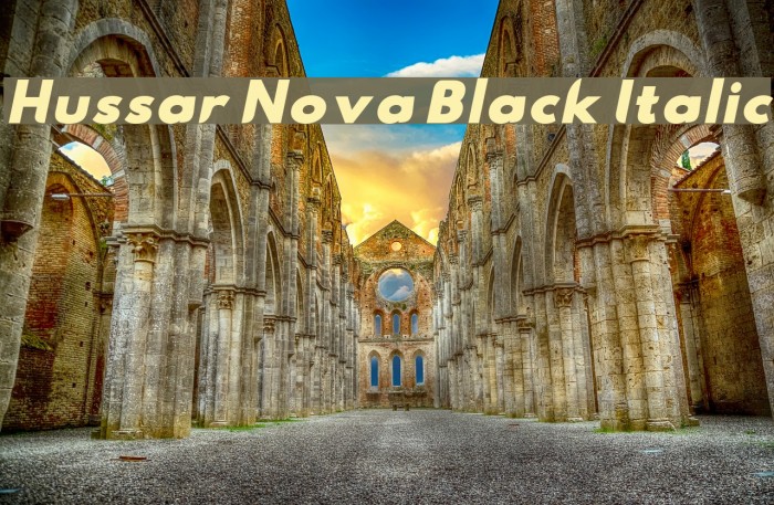 Hussar Nova Black Italic Font examples