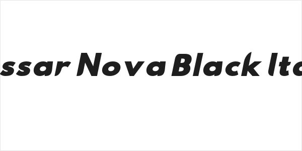 Hussar Nova Black Italic Logo