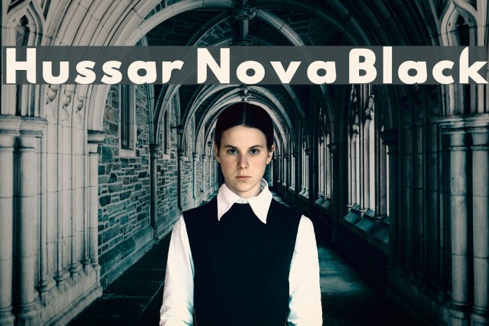 Hussar Nova Black Polices examples