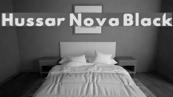 Hussar Nova Black Font examples